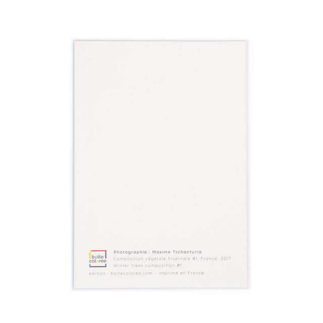 Carte double - Arbres en hiver