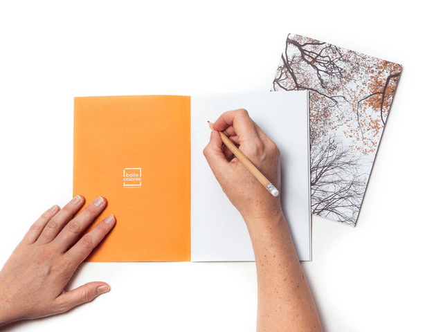 Carnet de notes A5 - "Arbres en automne" - 64 pages blanches