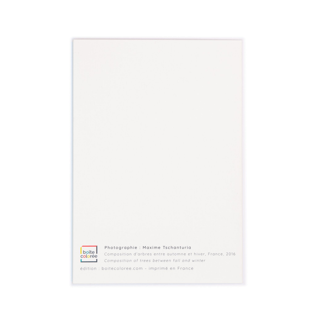 Carte double - Composition d'arbres entre automne et hiver