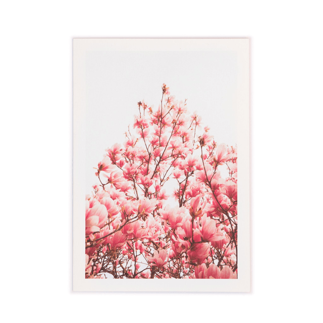 Carte double - Magnolia en fleurs sur ciel blanc