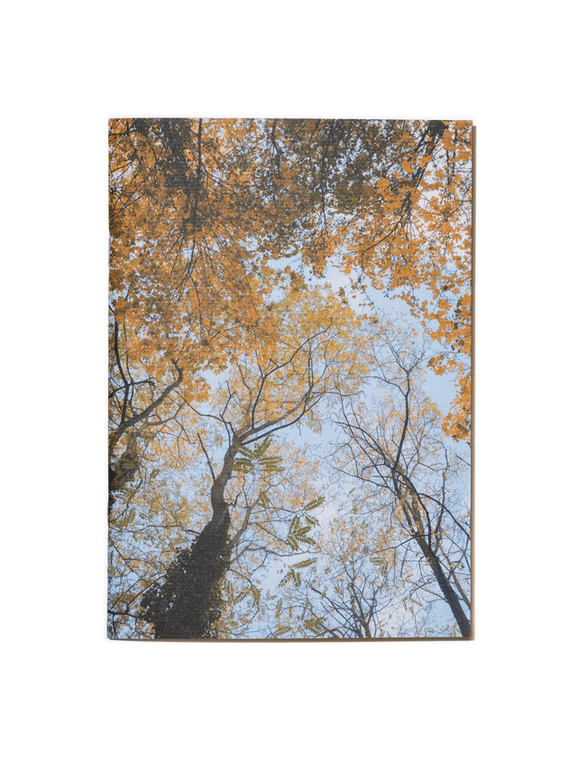 Carnet de notes A5 - "Automne" - 64 pages blanches