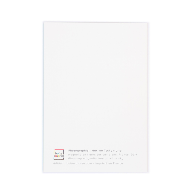 Carte double - Magnolia en fleurs sur ciel blanc