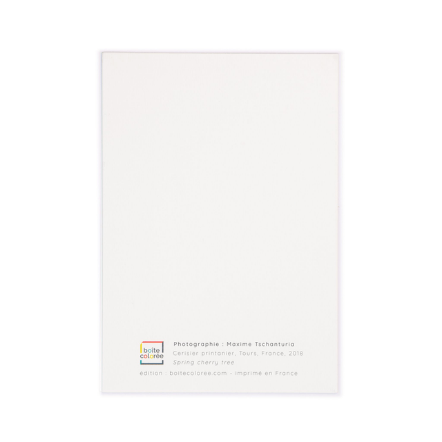 Carte double - Cerisier printanier sur ciel bleu