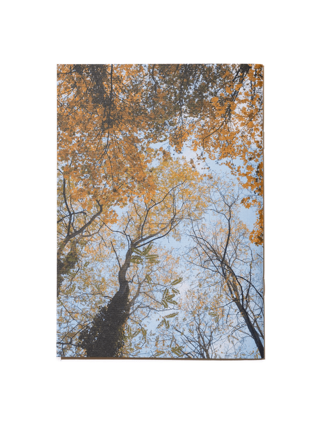 Carnet de notes A5 - "Automne" - 64 pages blanches