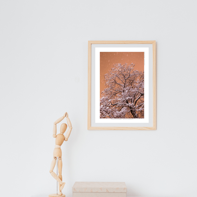 Affiche A4 - Arbre sous la neige "Comme une estampe"