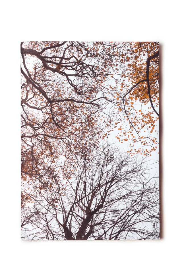 Carnet de notes A5 - &quot;Arbres en automne&quot; - 64 pages blanches