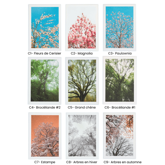 Lot de cartes doubles : 10 ou 20 cartes