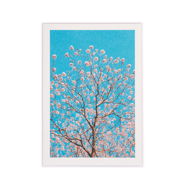Carte double - Arbre Paulownia en fleurs sur ciel bleu