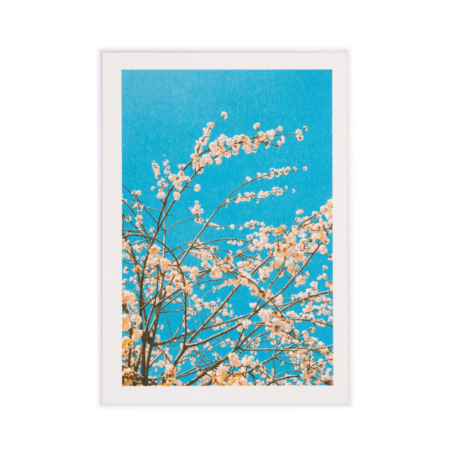 Carte double - Cerisier printanier sur ciel bleu