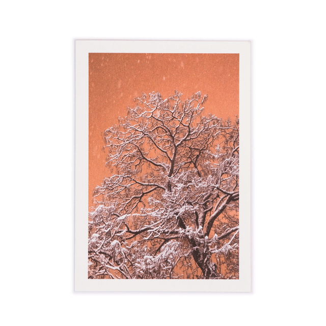 Carte double - Arbre sous la neige &quot;Comme une estampe&quot;