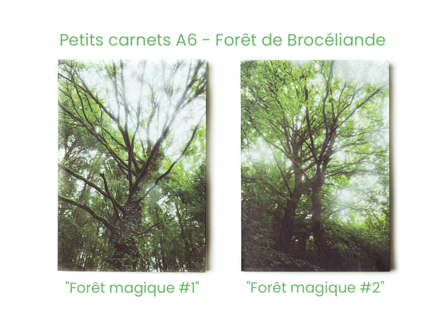 Lot de carnets de notes format poche A6